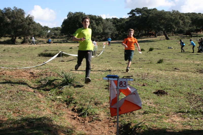 Orientació esportiva