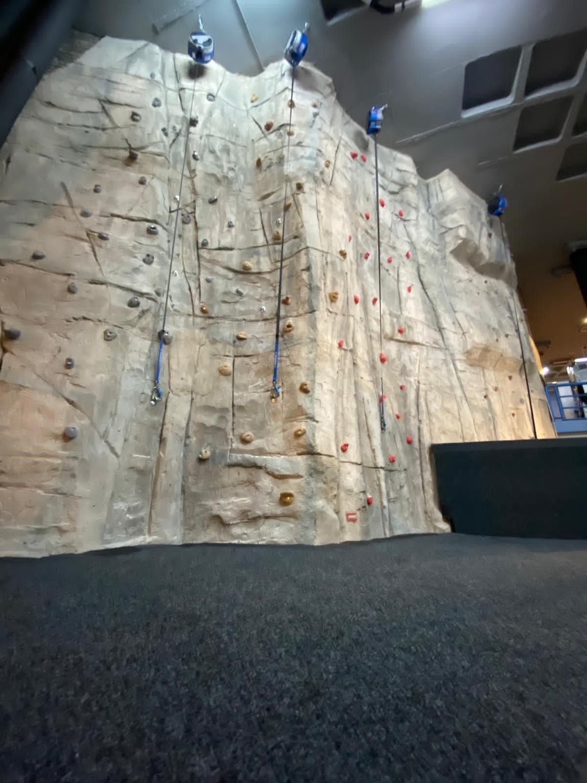 Rocòdrom Palau de Gel