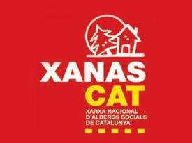 xanascat.jpg_18653126